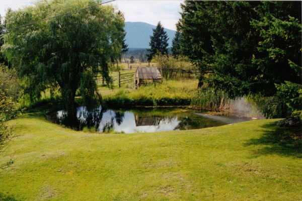 Scenic pond on the Bell ranch.